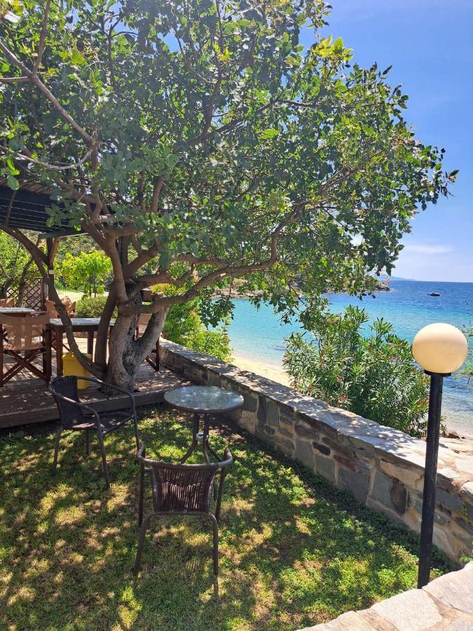 Villa La Casa Sul Mare PalaiónTsiflíkion Esterno foto