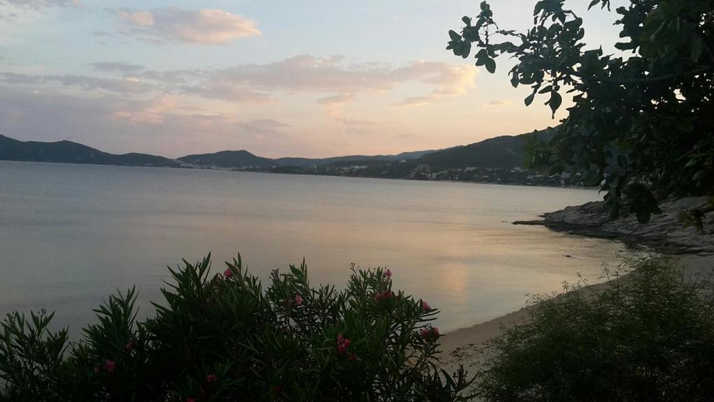 Villa La Casa Sul Mare PalaiónTsiflíkion Esterno foto